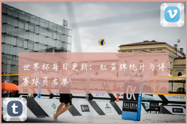 世界杯每日更新：红黄牌统计与停赛球员名单