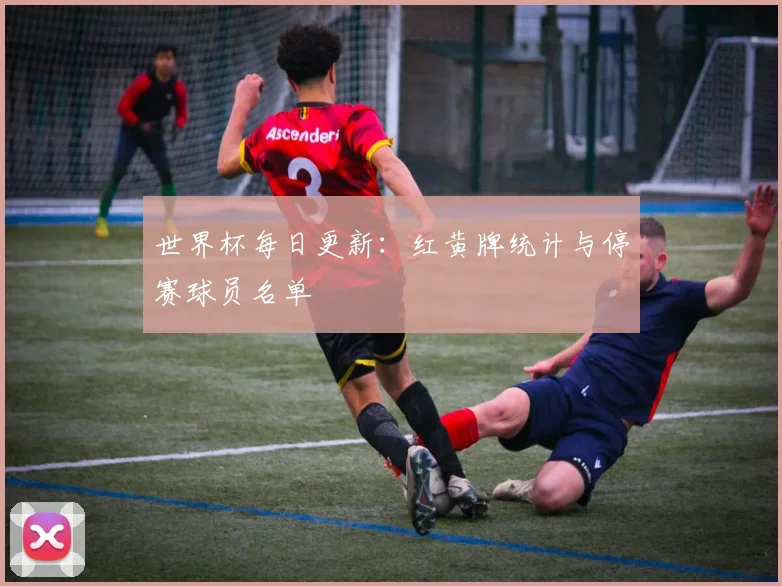 世界杯每日更新：红黄牌统计与停赛球员名单